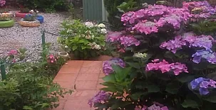 Casa de los Escudos 003