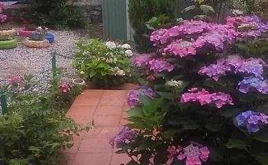 Casa de los Escudos en Ribadesella (Asturias) - Foto 3