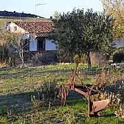 La Loma 001