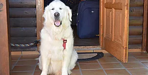 Cabañas de Lires 0015