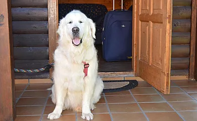 Cabañas de Lires en Cee (A Coruña) - Foto 15