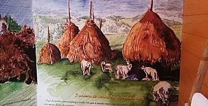 Cabañas de Ria 0025