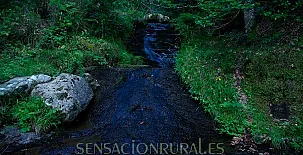 Bosque Azul 009