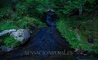 Bosque Azul en El Rasillo de Cameros (La Rioja) - Foto 9
