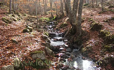 Casa La Media Legua en Villoslada de Cameros (La Rioja) - Foto 14