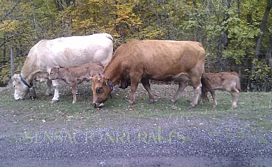 Casa La Media Legua en Villoslada de Cameros (La Rioja) - Foto 17