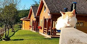 Cabañas de Ria 0040