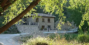 Cortijo Pesquera 004