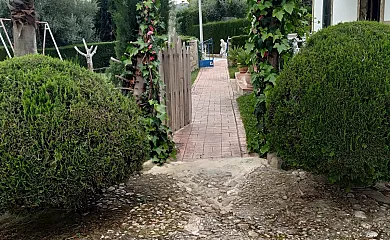El Parque de Isabel en Prado Del Rey (Cádiz) - Foto 5
