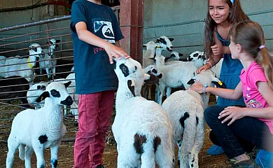 Casa Marquet en Pueyo (Huesca) - Foto 4