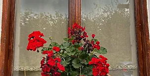 Caserío Kostegi 0041