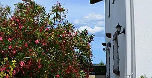 Caserío Kostegi 0011