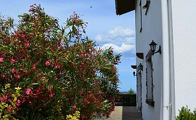 Caserío Kostegi en Urnieta (Guipuzcoa) - Foto 11