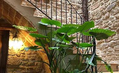 Ca la Cecilia en Cosco (Lleida) - Foto 9