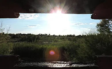 Casa Santa Ana en Miguel Esteban (Toledo) - Foto 12