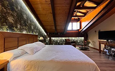 Las Baronas en Santa Cruz de la Salceda (Burgos) - Foto 4