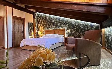 Las Baronas en Santa Cruz de la Salceda (Burgos) - Foto 3