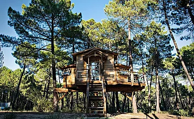Cabañas Rurales Los Barrancos en Villalba de la Sierra (Cuenca) - Foto 3