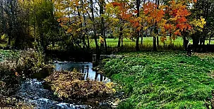 La Venta del Alma 0013