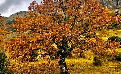 La Venta del Alma en Robledo de la Guzpeña (León) - Foto 15