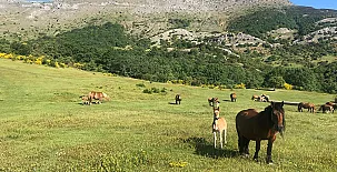 La Venta del Alma 0018