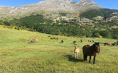 La Venta del Alma en Robledo de la Guzpeña (León) - Foto 18
