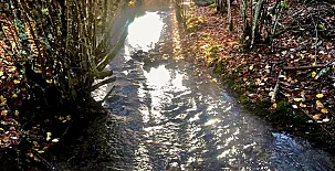 La Venta del Alma 0019