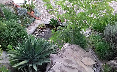 Casas de Almajar en Prado Del Rey (Cádiz) - Foto 3