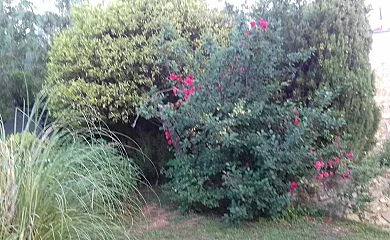 Casas de Almajar en Prado Del Rey (Cádiz) - Foto 6