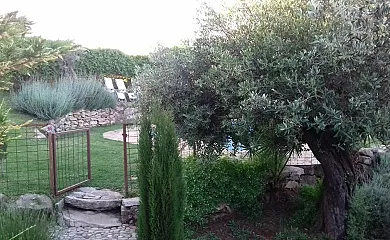 Casas de Almajar en Prado Del Rey (Cádiz) - Foto 7