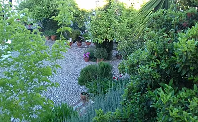 Casas de Almajar en Prado Del Rey (Cádiz) - Foto 9