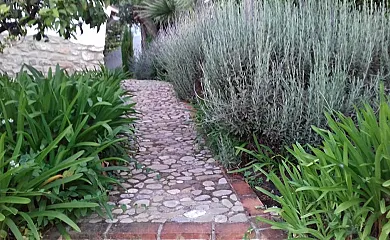 Casas de Almajar en Prado Del Rey (Cádiz) - Foto 10