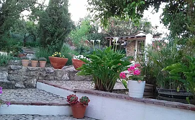 Casas de Almajar en Prado Del Rey (Cádiz) - Foto 11