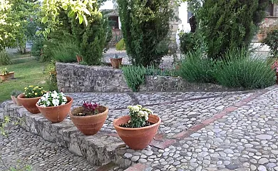 Casas de Almajar en Prado Del Rey (Cádiz) - Foto 12