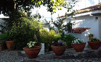 Casas de Almajar en Prado Del Rey (Cádiz) - Foto 15