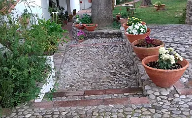 Casas de Almajar en Prado Del Rey (Cádiz) - Foto 16