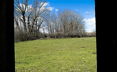Casa Rural Rincón del Boletus en Condemios de Arriba (Guadalajara) - Foto 12