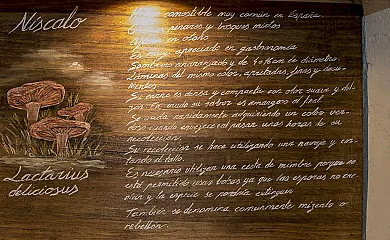 Casa Rural Rincón del Boletus en Condemios de Arriba (Guadalajara) - Foto 13