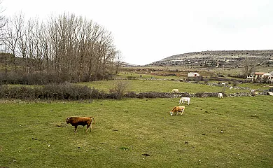 Casa Rural Rincón del Boletus en Condemios de Arriba (Guadalajara) - Foto 16