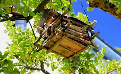 El Carbachín en Robles de Laciana (León) - Foto 14