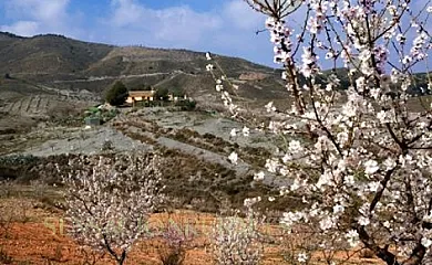 Cortijo La Solana en Lorca (Murcia) - Foto 13