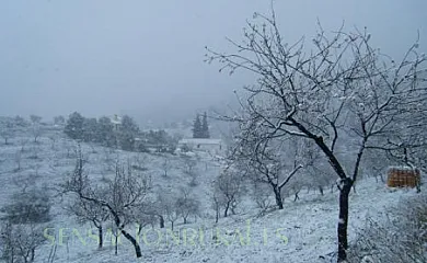 Cortijo La Solana en Lorca (Murcia) - Foto 14