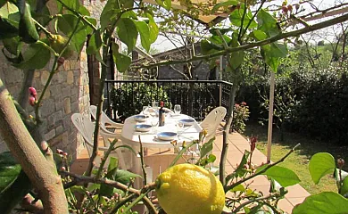 Agerre Berri Landetxea en Larraul (Guipuzcoa) - Foto 5