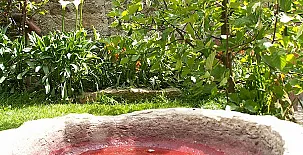 El Molino del Pepe & Las Frascuelas 003