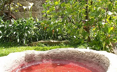 El Molino del Pepe & Las Frascuelas en Almajano (Soria) - Foto 3