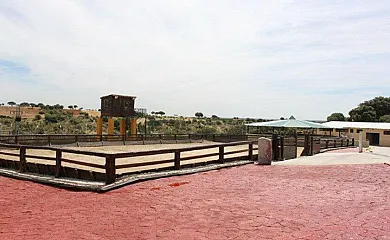 Finca la Calesa en Almorox (Toledo) - Foto 16