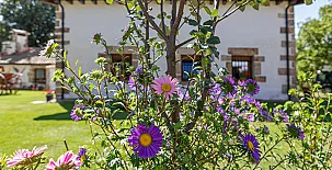 La Lobera Casa Rural 002