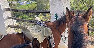 Turismo Rural El Berrocal 0019