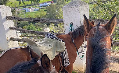 Turismo Rural El Berrocal en Cazalla de la Sierra (Sevilla) - Foto 19