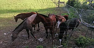 Turismo Rural El Berrocal 0020